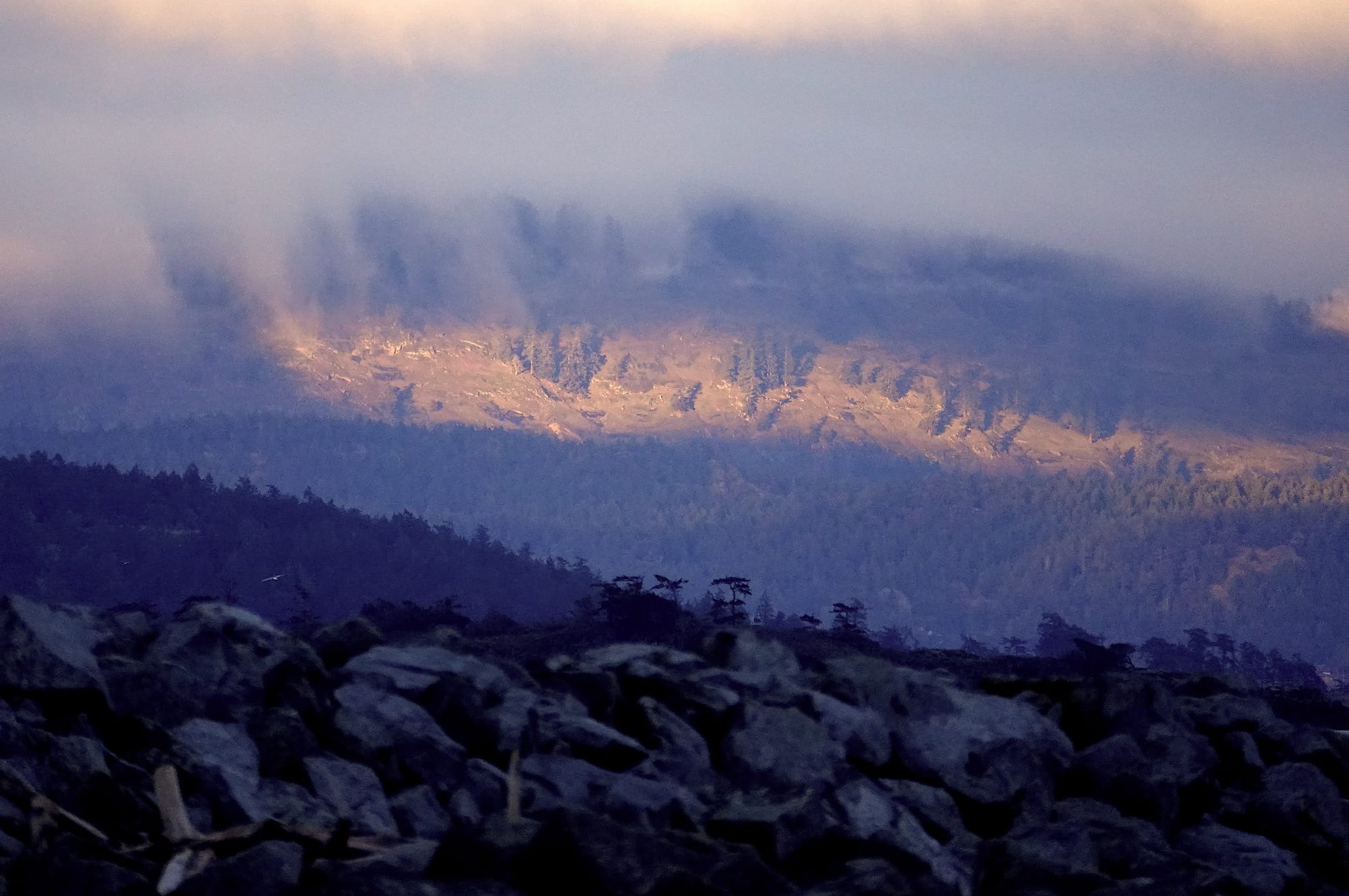 The Mandate of Intelligence